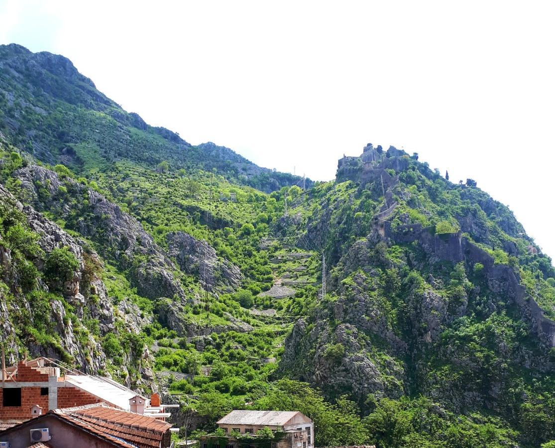 Red House Apartment Kotor Zewnętrze zdjęcie
